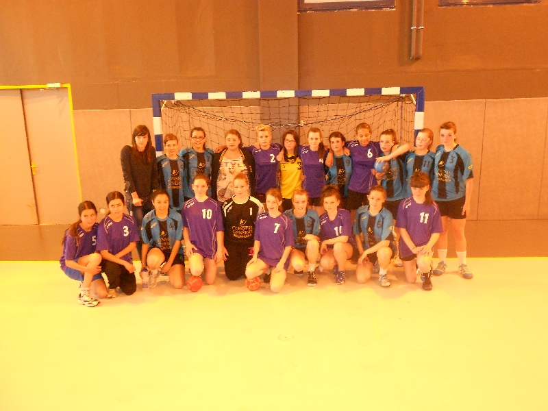Handball 2013
