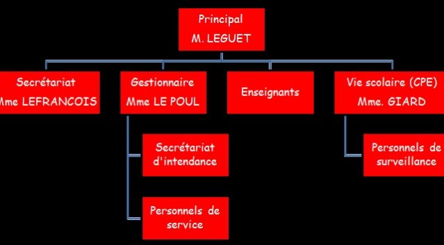 Organigramme 2024-2025