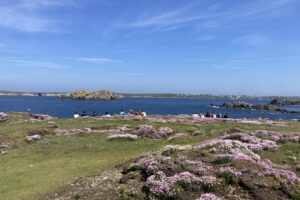 Ouessant 2025-006