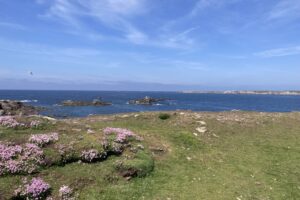 Ouessant 2025-008