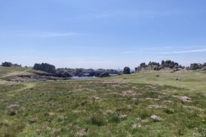 Ouessant 2025-012