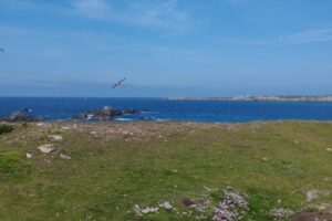 Ouessant 2025-037