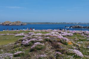 Ouessant 2025-038