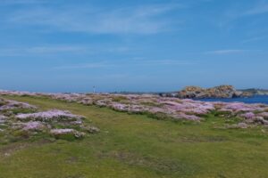 Ouessant 2025-043