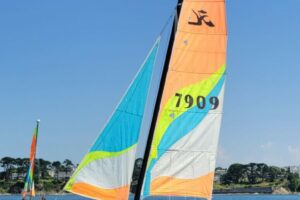 Voile 2025-005