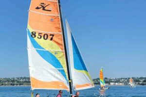 Voile 2025-024