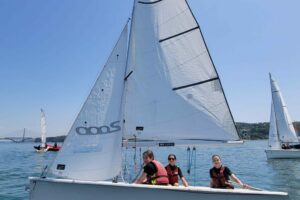 Voile 2025-084