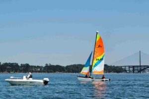 Voile 2025-103