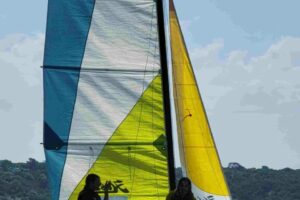 Voile 2025-138