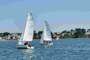 Voile 2025-141