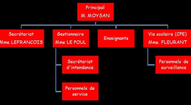 Organigramme 2025-2026