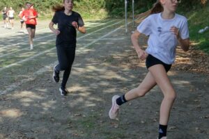 Cross 2025-011