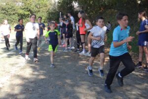 Cross 2025-046