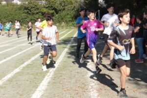 Cross 2025-071
