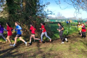 Cross Départemental 2025-034