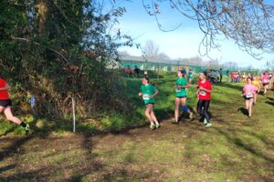 Cross Départemental 2025-035