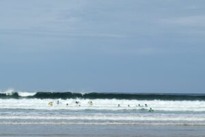 Surf 3C 2026-013 Surf 3C 2026-013