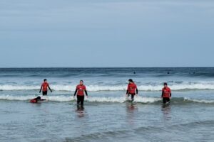 Surf 3C 2026-015 Surf 3C 2026-015