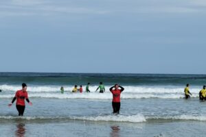 Surf 3C 2026-016 Surf 3C 2026-016