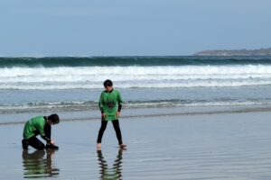 Surf 3C 2026-018 Surf 3C 2026-018