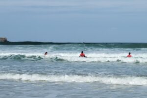 Surf 3C 2026-019 Surf 3C 2026-019