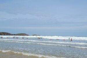 Surf 3C 2026-020 Surf 3C 2026-020