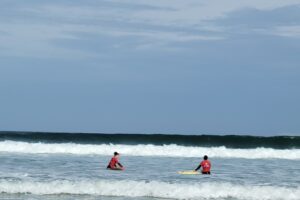 Surf 3C 2026-021 Surf 3C 2026-021