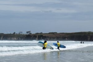 Surf 3C 2026-024 Surf 3C 2026-024