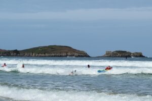 Surf 3C 2026-029 Surf 3C 2026-029