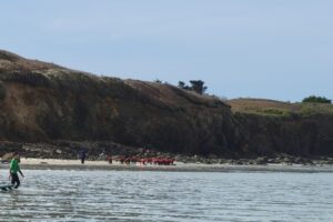 Surf 3C 2026-061 Surf 3C 2026-061