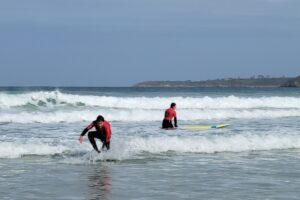 Surf 3C 2026-102 Surf 3C 2026-102