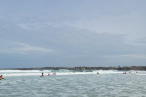 Surf 3C 2026-110 Surf 3C 2026-110