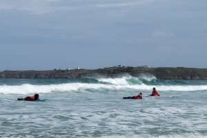 Surf 3C 2026-116 Surf 3C 2026-116