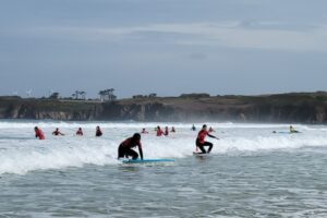 Surf 3C 2026-118 Surf 3C 2026-118