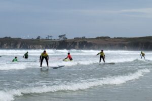 Surf 3C 2026-125 Surf 3C 2026-125