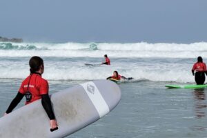 Surf 3C 2026-136 Surf 3C 2026-136