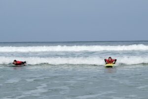 Surf 3C 2026-142 Surf 3C 2026-142