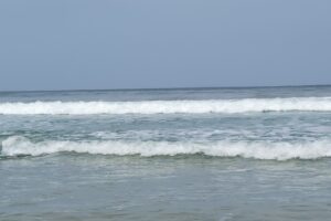 Surf 3C 2026-143 Surf 3C 2026-143