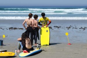 Surf CDF 2026-019 Surf CDF 2026-019