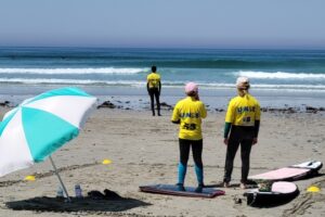 Surf CDF 2026-022 Surf CDF 2026-022