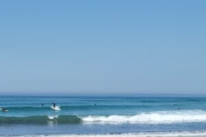 Surf CDF 2026-024 Surf CDF 2026-024