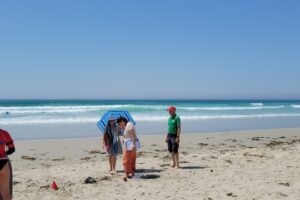 Surf CDF 2026-029 Surf CDF 2026-029