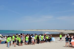 Surf CDF 2026-055 Surf CDF 2026-055