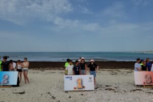 Surf CDF 2026-060