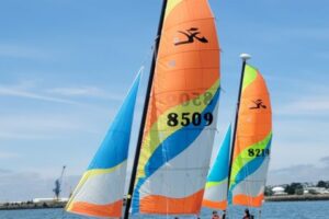 Voile 2026-006